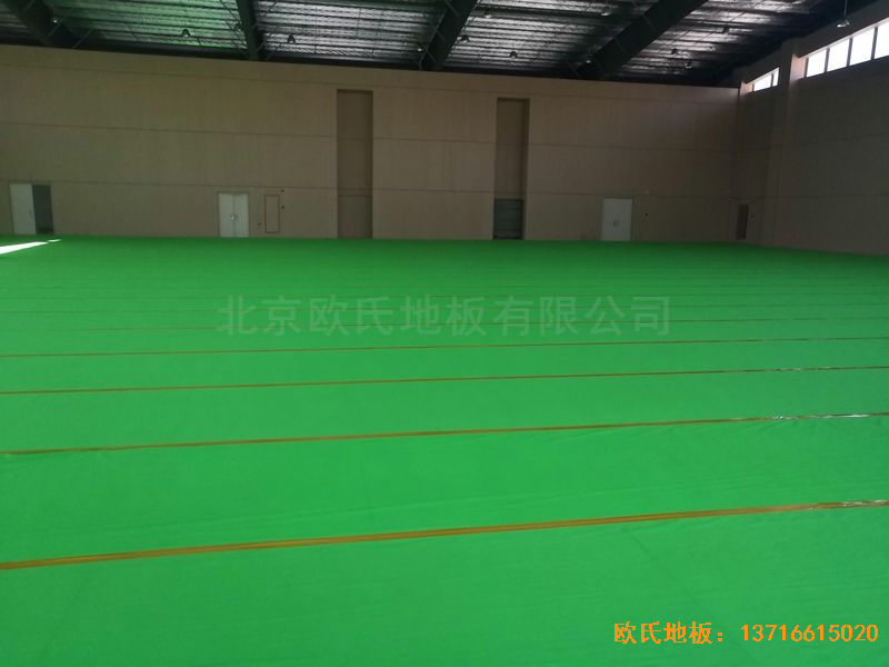 �V����혴���FӢ�ЌW�\��ľ�ذ尲�b����
