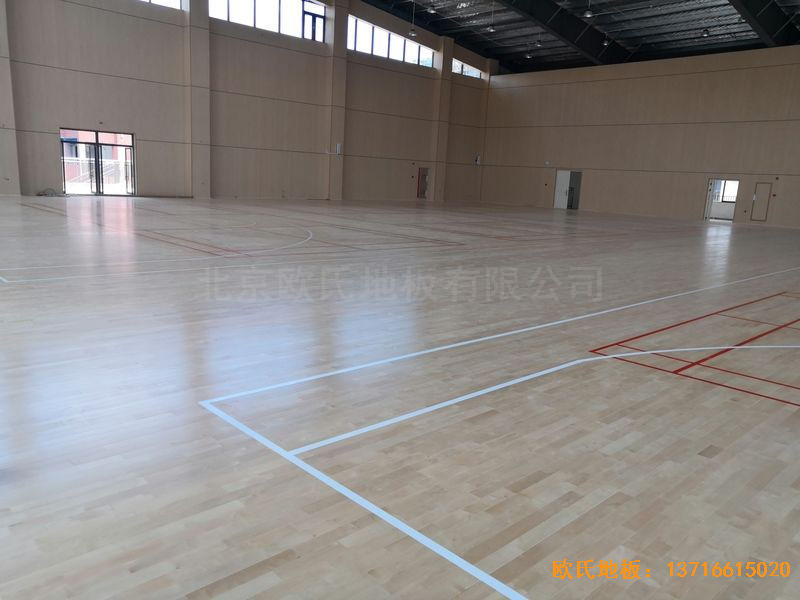 �V����혴���FӢ�ЌW�\��ľ�ذ尲�b����