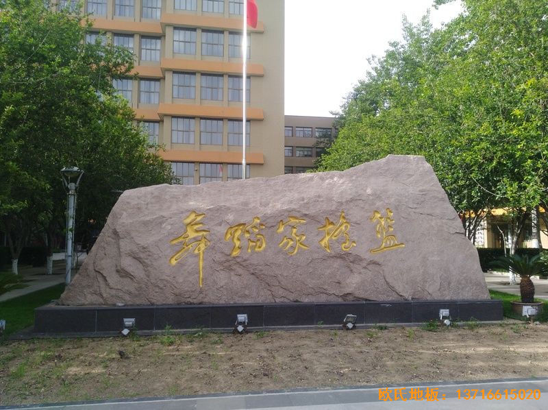 �����赸�WԺ�w���ذ尲�b����