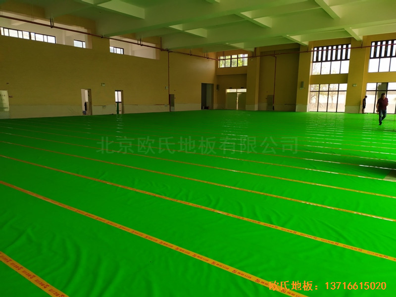 �V���S�҅^�f��ɽС�W�@���^�w���ذ尲�b����2