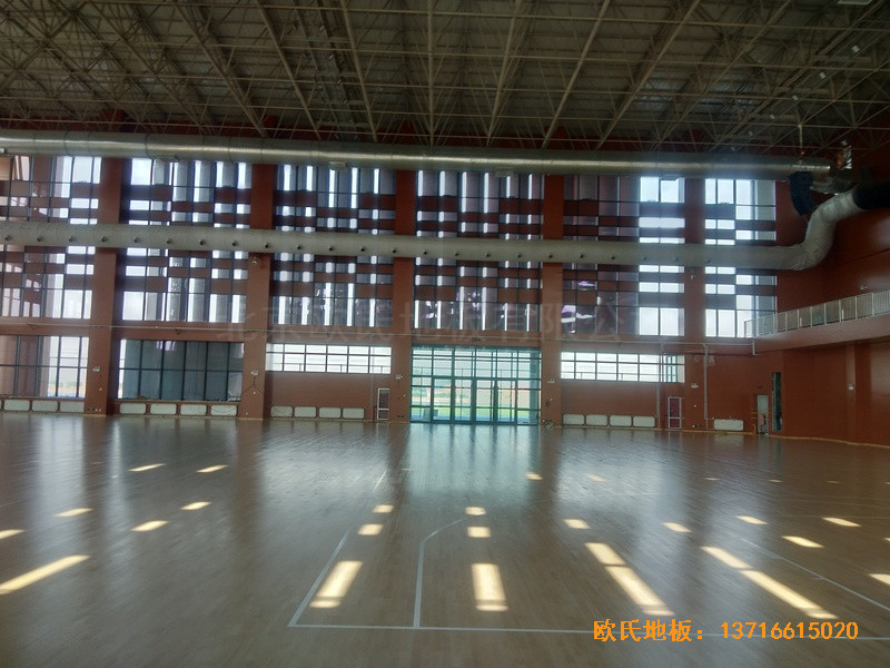 �ӱ����̴�W��У�^�@���^�w��ľ�ذ尲�b����4