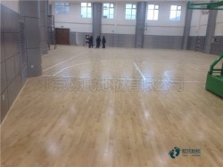 20���w������ľ�ذ�S�҈�r