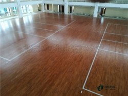 ���Ռ������_�w���\��ľ�ذ��Ă����ӱ��^��